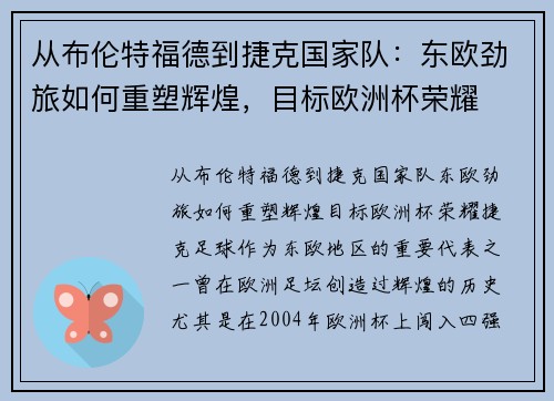 从布伦特福德到捷克国家队：东欧劲旅如何重塑辉煌，目标欧洲杯荣耀
