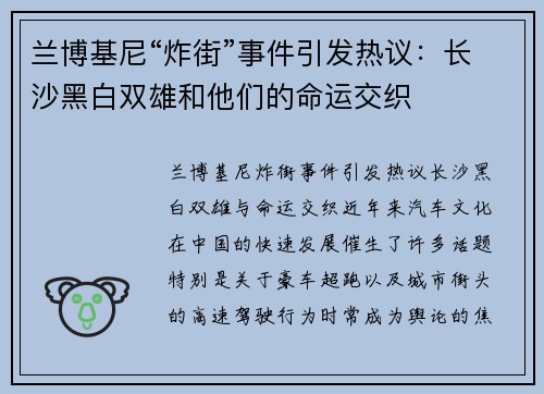 兰博基尼“炸街”事件引发热议：长沙黑白双雄和他们的命运交织