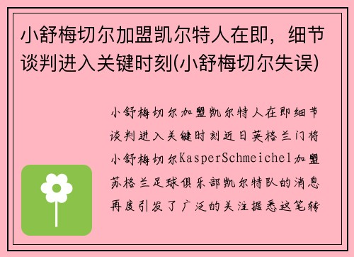 小舒梅切尔加盟凯尔特人在即，细节谈判进入关键时刻(小舒梅切尔失误)